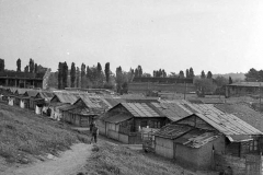 1952-baracche-a-schiera.jpg
