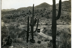49-Desert-of-Southern-Arizona-near-Phoenix-
