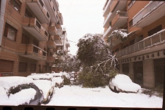 A20 8298 Roma 11 febbraio 1986 la neve a Roma, vedute dalle finestre di casa , via Anapo e via Ceresio.