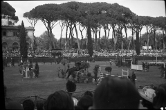 A3 233 Roma 1 maggio 1950. Concorso ippico a piazza di Siena