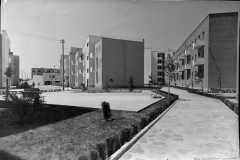 1960-anni-Lecce-ph.-Carlino
